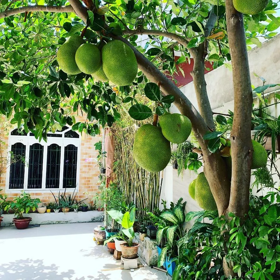 Biet Thu Villa Hai Nam -Vung Tau-G8 Bau Sen 08 0*,  Vietnam